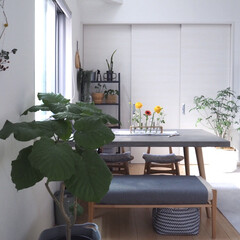 お気に入り/観葉植物インテリア/花のある暮らし/カーサヒルズ/ダイニングテーブル/インテリア/... 転居と同時に購入した
コンクリート天板の…(1枚目)