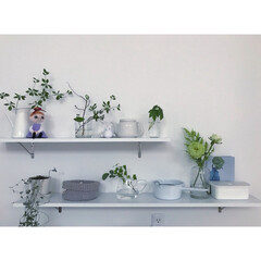 植物/夏インテリア/インテリア/DIY/キッチン/お片付け/... キッチン背面のdiy shelfは
面積…(1枚目)