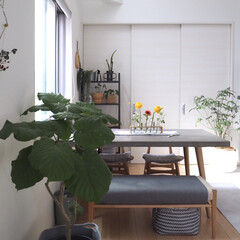 観葉植物インテリア/IKEA/花のある暮らし/雑貨/インテリア/家具/... 今週はビタミンカラーのお花に
元気をたく…(1枚目)