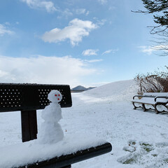 「去年の冬の初めに公園のベンチに小さな雪だ…」(1枚目)