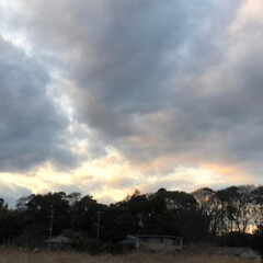 夕焼け雲/雲/ウォーキング/おでかけ/風景/おでかけワンショット 本日のウォーキング！
田舎の風景👍
綺麗…(4枚目)