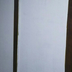 DIY/お気に入り 和室の襖に洋風壁紙をはりました。
白い襖…(3枚目)