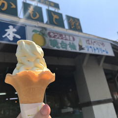 最高においしい/晩白柚ソフトクリーム/道の駅/おでかけ (1枚目)