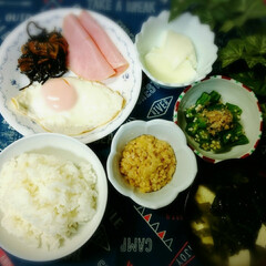 朝食/フード/グルメ 今日の朝食
ご飯 わかめと豆腐の味噌汁 …(1枚目)
