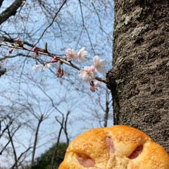 手作りぱん/LIMIAごはんクラブ/おでかけ/春の一枚 手作りの桜餡パンをいただいたので
シナモ…(1枚目)
