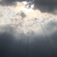 風景 👼天使のはしご

☔️にわか雨がパラパラ…(1枚目)