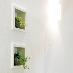 ミニッチ/壁埋め込み/観葉植物/小物/キッチン/廊下/... 玄関や廊下、キッチンなどのデッドスペース…(3枚目)