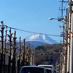 富士山/風景 富士山が見えると嬉しいです🗻(1枚目)
