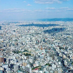 フォロー大歓迎/冬/おでかけ/旅行/風景/建築 大阪　あべのハルカスからの眺め(1枚目)