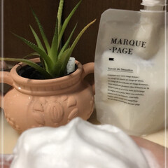 MARQUE-PAGE マルクパージュ クレンジング・洗顔・美容保湿ゲル ３セット | MARQUE-PAGE(スキンケアトライアルセット)を使ったクチコミ「自然派スキンケア｢マルクパージュ｣さんの…」(3枚目)