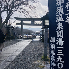 初めての雪/那須温泉神社/那須旅行/御朱印集め/トイプードル 寒かったね凛リン🐩🐾
舞ってる雪をペロッ…(3枚目)