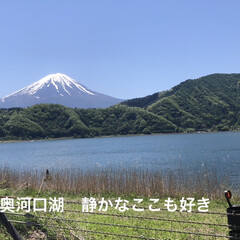 富士山大好きー 富士山🗻投稿続いてますが🙏夕暮れ時の朝霧…(4枚目)
