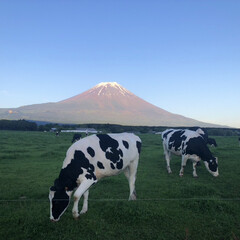 富士山大好きー 富士山🗻投稿続いてますが🙏夕暮れ時の朝霧…(1枚目)