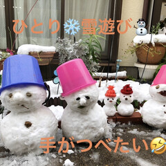冬の花は大丈夫だよね/雪に負けないでねお花たち/年に1.2回の積雪/ひとり雪遊び/雪だるま 朝からひとり雪遊び🤣

予報通り、名古屋…(2枚目)