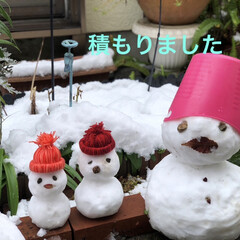 冬の花は大丈夫だよね/雪に負けないでねお花たち/年に1.2回の積雪/ひとり雪遊び/雪だるま 朝からひとり雪遊び🤣

予報通り、名古屋…(1枚目)
