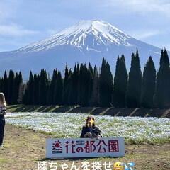 富士山大好き〜/陸ちゃん初めての富士五湖へ/陸ですよろしく/陸ちゃん/空ちゃんとの思い出の地の富士五湖 空ちゃんと何度も行った富士五湖🚗💨

昨…(6枚目)
