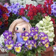 ハッピードール/エーマリー/デイサービス/ガーデニング/花のある暮らし/ガーデン雑貨/... 💜紫色が大好きなおばあちゃまと、あれこれ…(1枚目)