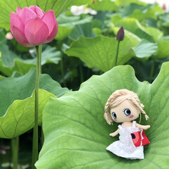 お出かけ/ドライブ/バラ/道の駅/蓮の葉の傘/蓮の花/... 県内の蓮を見に行ってきましたぁ❣️
お天…