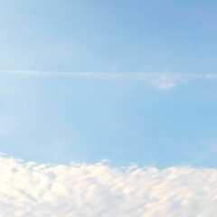 雲の形/晴天/空模様/雲 建物の、すき間から、見えた、空が綺麗だっ…(1枚目)