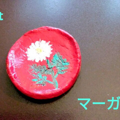 植物柄/プレゼント/ハンドメイド/日用雑貨/贈り物/野草/... 😉🍅🍏🍈🍇🍎💖🍓🍆🌽
いいね、フォローあ…