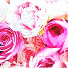 ピンク大好き/ピンクの薔薇/フラワーアレンジ/フラワーアレンジメント/華やか/花束/... テレビから撮影📷🎥📸(1枚目)