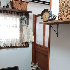 DIY/簡単DIY/LIMIADIY同好会/おうち時間DIY/第4回これもあれもDIYしました!/部屋全体/... おはようございます🙇
ちょっと👀の停滞し…