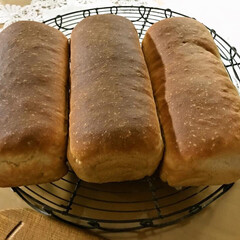 手作りパン/ミニ食パン/粒ジャム/イチゴジャム/ブルーベリージャム/渦巻ミニ食パン 渦巻ジャムのミニ食パン３本焼きました。
…(2枚目)