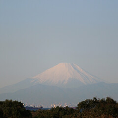 富士山/トイプードル/リミアの冬暮らし/おでかけ/フォロー大歓迎 今日の朝んぽ
綺麗に富士山が見えました🗻…(2枚目)