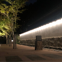 お散歩/夜景/お城/イルミネーション/風景/おでかけ/... 夜の小倉城で、お散歩(2枚目)