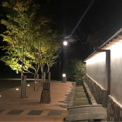 お散歩/夜景/お城/イルミネーション/風景/おでかけ/... 夜の小倉城で、お散歩(3枚目)