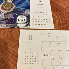 カレンダー2021/カレンダー/tolot毎月カレンダー/TOLOT/プチプラカレンダー TOLOTで、来年のカレンダーを作りまし…(7枚目)