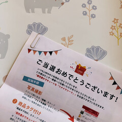 Aconitum |  Pattern.Oku リメイクシート | Harokka(壁紙)を使ったクチコミ「モニター当選しました。
Harokkaさ…」(4枚目)