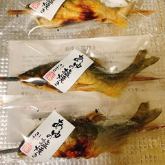 旅行/美味しい/焼き魚/鮎/琵琶湖/長浜/... 長浜わんこ旅🐶
琵琶湖なので魚が美味しい…(1枚目)