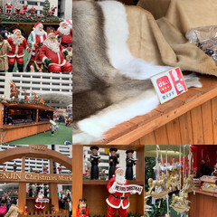 クリスマスマーケット/クリスマス2019/おでかけ おはようございます。😊
福岡市役所前広場…(1枚目)