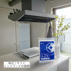 キッチン用おそうじクロス/アミタワシ/そうじの神様/ウタマロクリーナー/フィルター交換/スターフィルター/... こんばんは🌃
.
.
今日のこそうじは、…