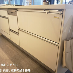 キッチン用おそうじクロス/そうじの神様/パストリーゼ/拭き掃除/キッチンの引き出し収納の拭き掃除/毎日こそうじ/... こんばんは😃🌃
.
.
今日のこそうじは…