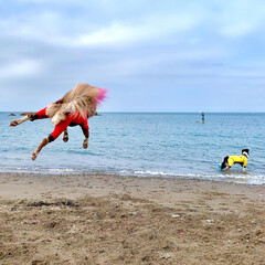 ボーダーコリー/砂浜/海/わんこ/いぬ ‪ジャンプ大好き女子と‬

‪ジャンプ出…(2枚目)