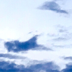 空/雲/景色 今日の夕方の空
最近、不思議な雲が
多い…(4枚目)