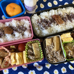 三島食品 ゆかり梅入り 22g×10袋入×(ふりかけ)を使ったクチコミ「中学生の娘も弁当の日。冷凍していたおかず…」(1枚目)