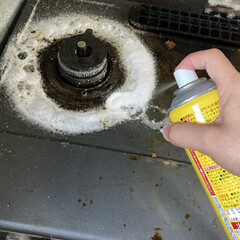 プロスタッフ BF 網・コンロクリーナー 濃密な泡タイプ 330ml LS02(台所用洗剤)を使ったクチコミ「お気に入りの油汚れ落とし。泡タイプで密着…」(1枚目)