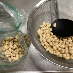 旭化成 ジップロック フリーザーバッグ Wジッパータブ付 S 18枚入 | 旭化成(その他洗剤)を使ったクチコミ「乾燥大豆を買って水煮を作りました。
一度…」(1枚目)