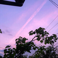 夕空/癒し/空を見上げて/自然の美/空 毎日ほんまに( ؕؔʘ̥̥̥̥ ه ؔؕ…