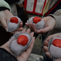甘党大集合 こちらは、京都で食べ歩きをした際に撮った…(1枚目)