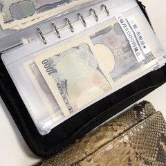 無印良品/パスポートケース/家計管理/お財布代わり/主婦の味方/使いやすい/... 無印良品のパスポートケース。

家計管理…(1枚目)