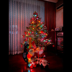 myroom/フランフラン/クリスマスツリー/クリスマス/Francfranc/クリスマス2019/... francfrancのガーランドやらツリ…(4枚目)