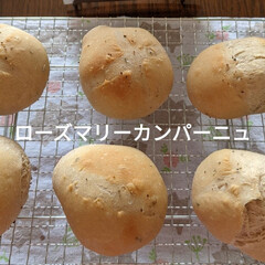 パン作り 
パン作り🍞🫓

仕込水にトマトジュース…(9枚目)