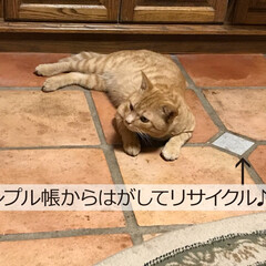 フォロー大歓迎/不動産・住宅/新築/新築一戸建て/施工事例/工務店/... こんにちは!長野県茅野市の工務店「エルハ…