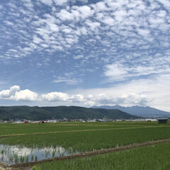 フォロー大歓迎/不動産・住宅/工務店/注文住宅/エルハウス/信州/... こんにちは!長野県茅野市の工務店「エルハ…