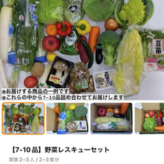 野菜レスキューセット/生鮮食品EC/お野菜/フードロス削減/SDGs/クックパッドマート/... 野菜レスキューセット🥬試してみたよ！
⁡…(4枚目)