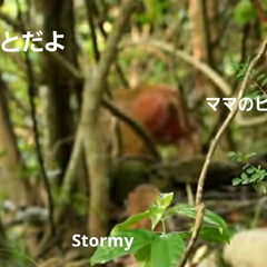 Stormyとママと沢山のファン 昨日アップしたお猿のStormyが、虹の…(4枚目)